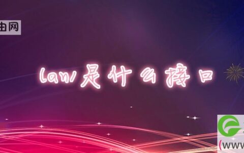 lan1是什么接口