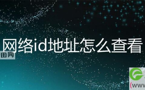 网络id地址怎么查看