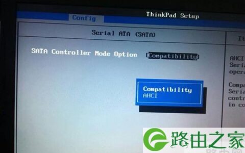 开始进行重装系统的操作