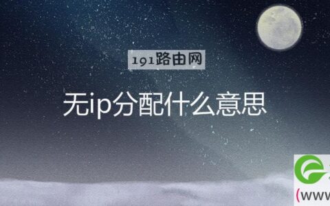 无ip分配什么意思