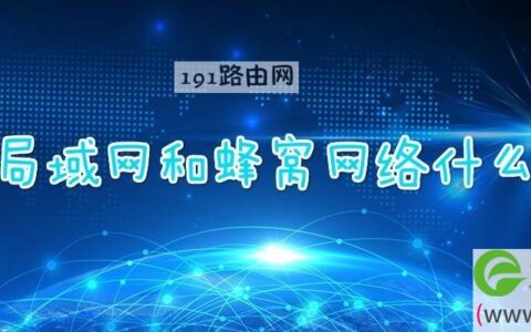 无限局域网和蜂窝网络什么意思