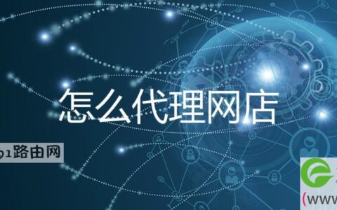 怎么代理网店