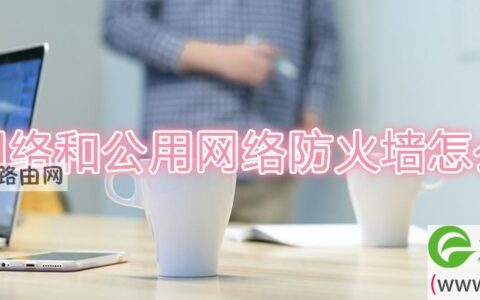 专用网络和公用网络防火墙怎么选择