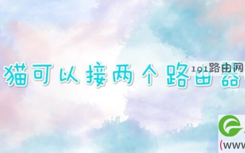 光猫可以接两个路由器吗