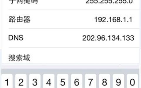 路由器设置：iOS系统手机/Pad手动指定IP地址的设置方法