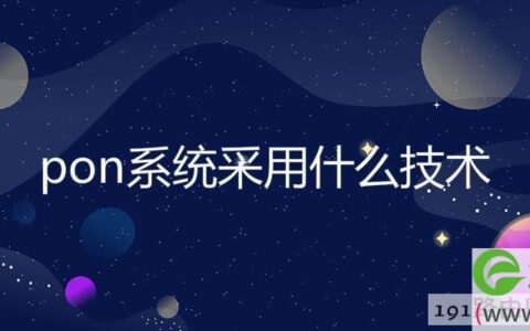 pon系统采用什么技术
