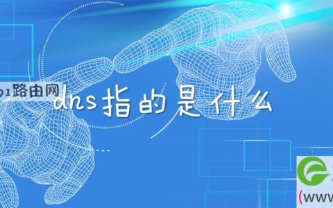 dns指的是什么