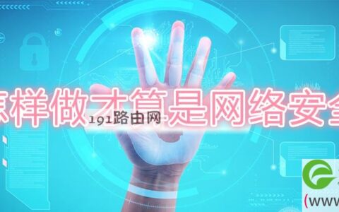 怎样做才算是网络安全