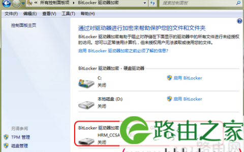 使用BitLocker对文件加密的注意事项(图)