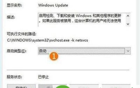 Win10系统更新卡住不动怎么解决