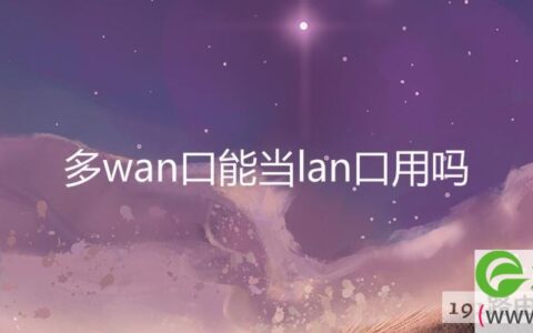 多wan口能当lan口用吗