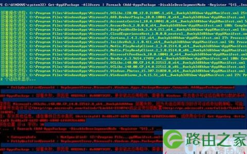 Win10应用加载失败