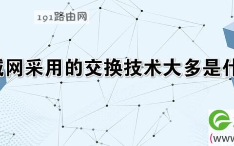 广域网采用的交换技术大多是什么 属于局域网的有哪些 