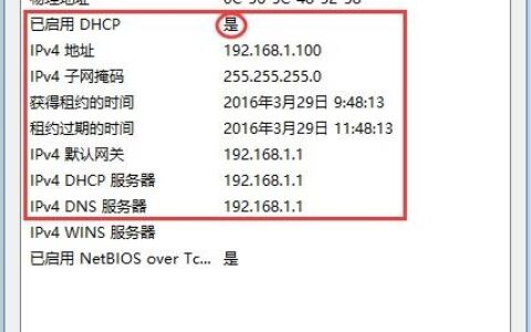 Windows 10系统设置有线网卡自动获取IP地址