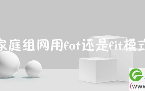 家庭组网用fat还是fit模式