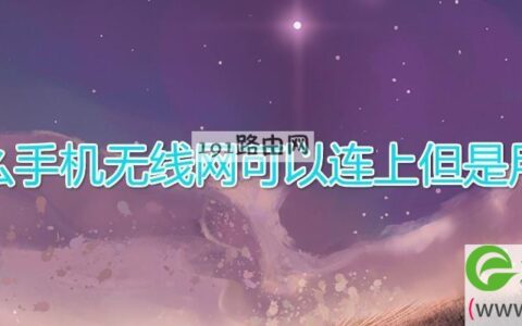 为什么手机无线网可以连上但是用不了