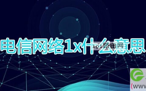 电信网络1x什么意思