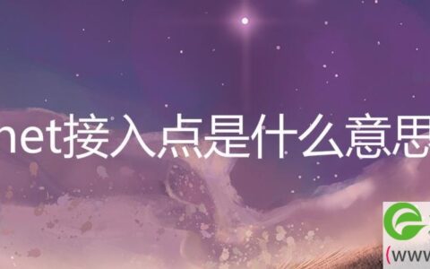net接入点是什么意思
