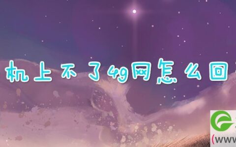 手机上不了4g网怎么回事