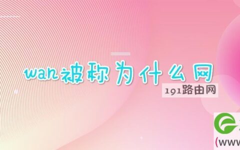 wan被称为什么网