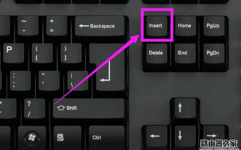 word打字后面的字消失怎么办