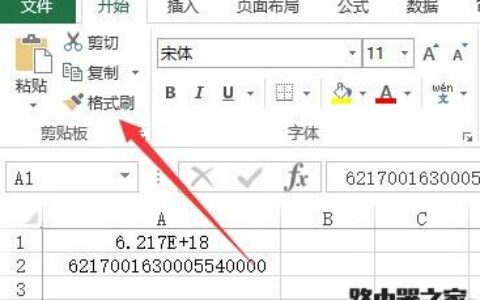 怎么在Excel中正确显示出长串数字