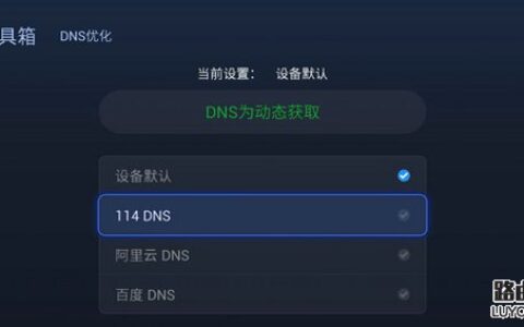 NDS设置什么好？DNS设置8.8.8.8好吗