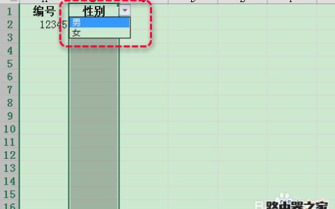 excel怎么限定列单元格的输入内容?