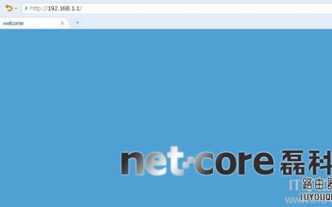 Netcore磊科路由器登录地址是多少？
