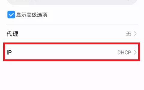 手机IP设置为DHCP