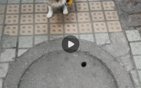 关闭流量和蓝牙也能分享大数据(关闭流量和蓝牙也能分享大数据吗)