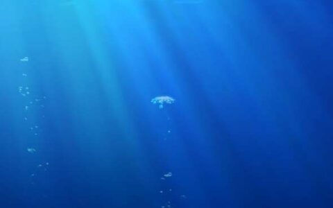 手机应用分身(手机应用分身怎么关闭)