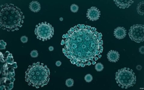 计算机病毒的特点(计算机病毒的特点主要表现在____)