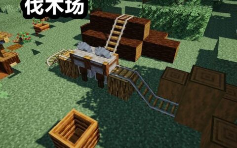 作为一个精致的MC玩家(一个合格的MC玩家)