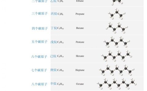 小学数学到大学生物化学的英语直通车