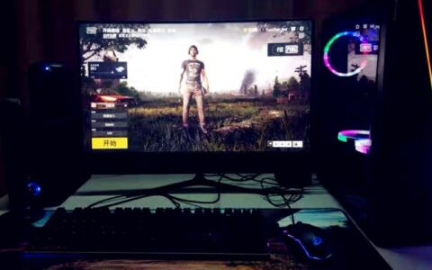 这张显卡能中高特效吃鸡(什么显卡可以中特效吃鸡)