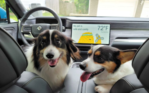 什么是汽车的宠物模式(什么车有宠物模式)