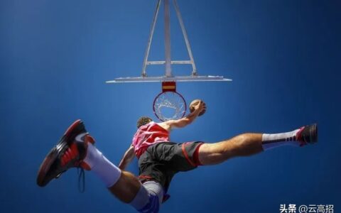 真希望上大学前也有人告诉我这些(真希望上大学前也有人告诉我这些秘密)