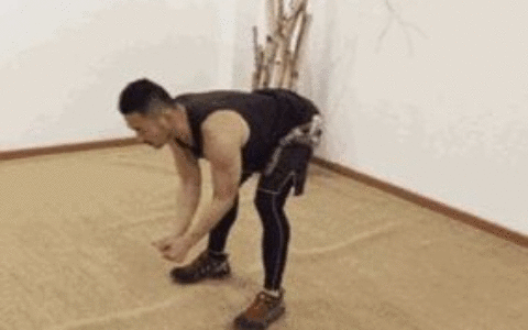 如果你是个电脑工作者(如果你是个电脑工作者英文)