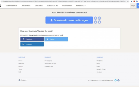 浏览器另存图片却是WebP格式(浏览器另存为图片格式)