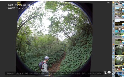 数码照片浏览器推荐(数码照片浏览器推荐哪个)