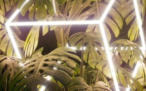 如何设置iPhone开灯壁纸(iphone11开灯壁纸怎么设置)