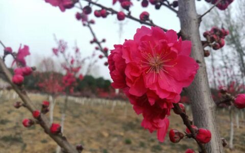 WPS办公软件一起学（1）