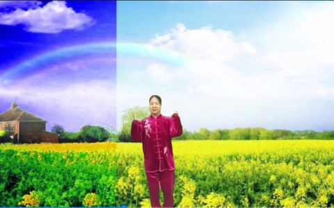 老年人学剪映（108）局部色彩调节HSL功能的使用