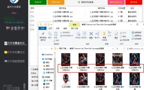 怎么在多个图片标题中插入相同的文字(同一图片加不同文字)