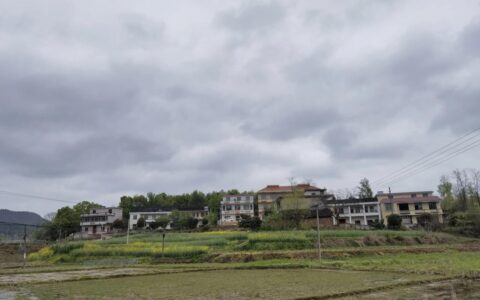 与国家层面的三级预防(何谓三级预防?)