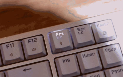 给电脑全屏截图还在到处找软件(给电脑全屏截图还在到处找软件怎么办)