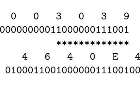计算机系统中的地址和字节序(字节是计算机中)