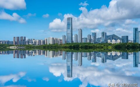 公司注销需要什么资料(公司注销需要的资料)