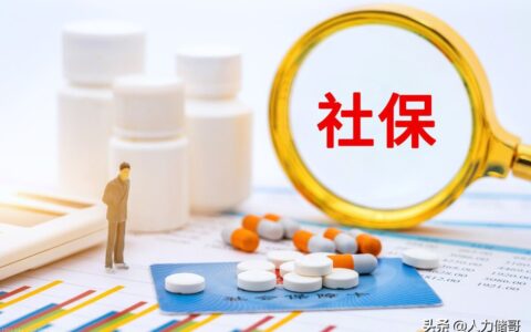 怎样查询自己社保缴费记录(社保缴费记录自己怎么查询)